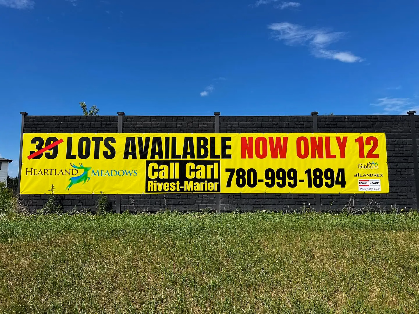 Edmonton Business Signs - Tony Romas1