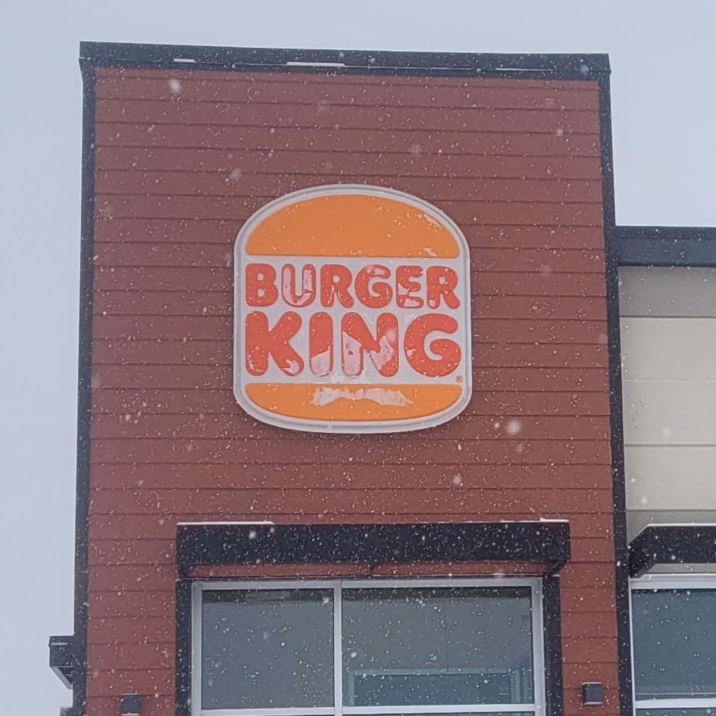 Custom logo sign in Edmonton featuring a company's branded design